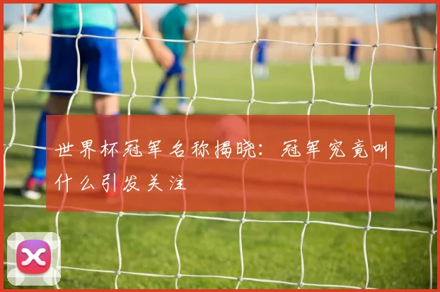 世界杯冠军名称揭晓:冠军究竟叫什么引发关注