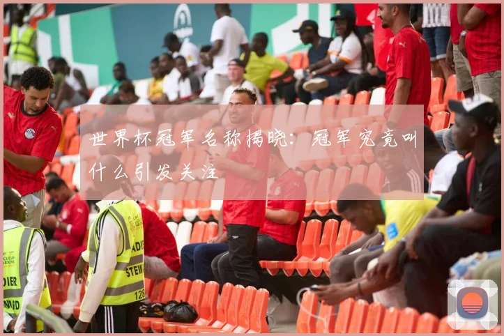 世界杯冠军名称揭晓:冠军究竟叫什么引发关注