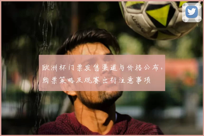 欧洲杯门票发售渠道与价格公布，购票策略及观赛出行注意事项