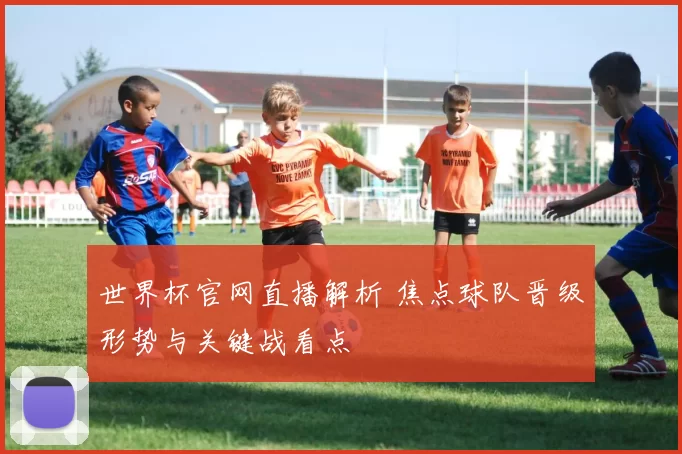 世界杯官网直播解析 焦点球队晋级形势与关键战看点