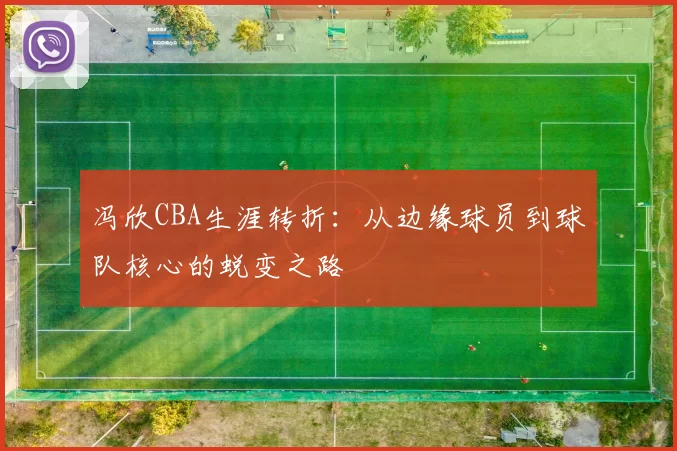 冯欣CBA生涯转折：从边缘球员到球队核心的蜕变之路