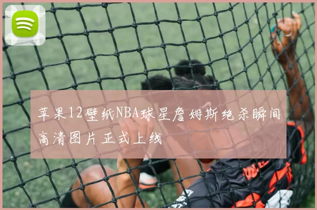 苹果12壁纸NBA球星詹姆斯绝杀瞬间高清图片正式上线