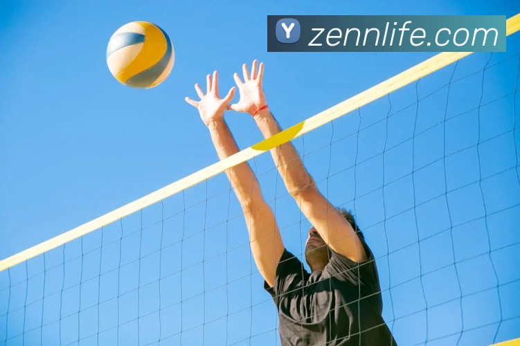 开云体育APP 封面图